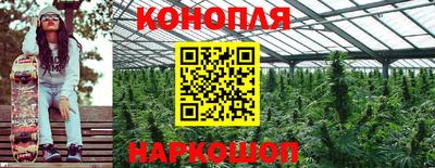 кокс Дубна